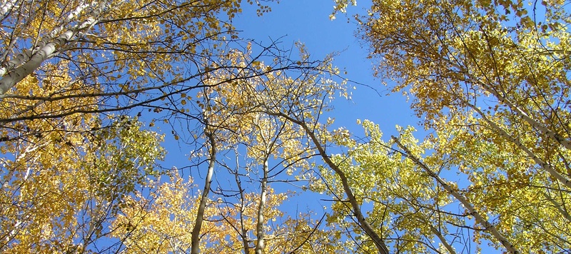 Осень