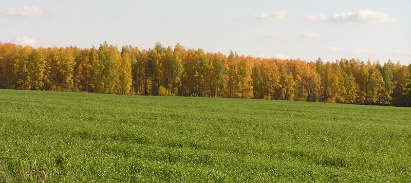 Осень