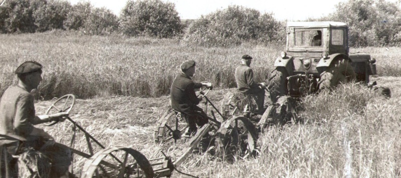 История