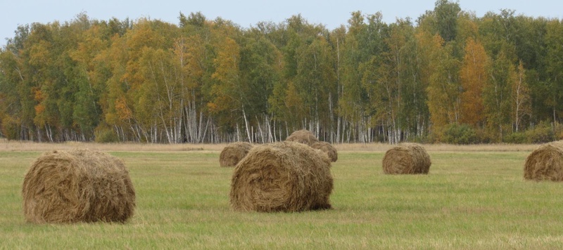 Охотхозяйство