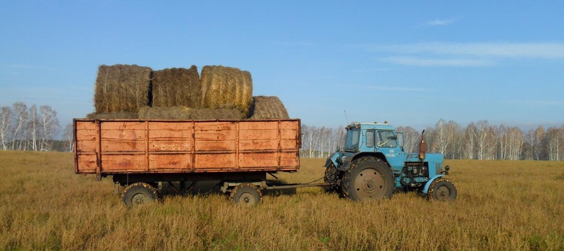 Охотхозяйство