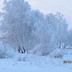 Таволжанская Sogra