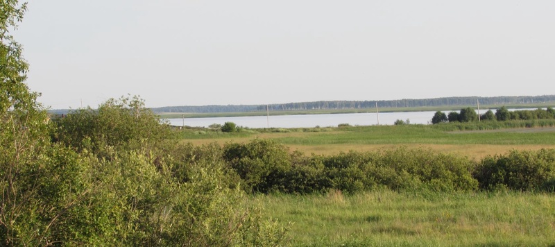 Таволжанская Sogra