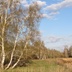Таволжанская Sogra