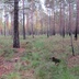 Таволжанская Sogra