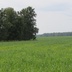Таволжанская Sogra