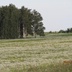 Таволжанская Sogra