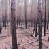 Таволжанская Sogra