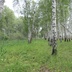 Таволжанская Sogra