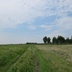 Таволжанская Sogra