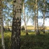 Таволжанская Sogra