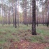 Таволжанская Sogra