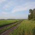 Таволжанская Sogra