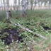 Таволжанская Sogra
