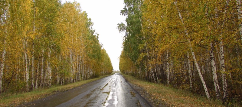 Таволжанская Sogra