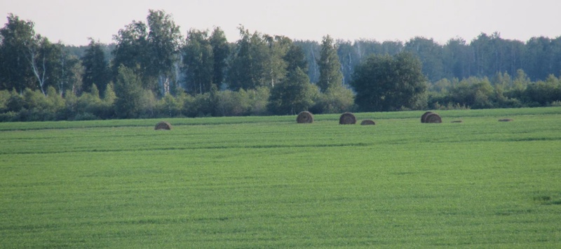 Таволжанская Sogra