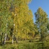 Таволжанская Sogra