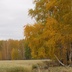 Таволжанская Sogra