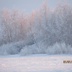Таволжанская Sogra
