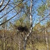 Таволжанская Sogra