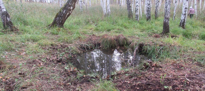 Таволжанская Sogra