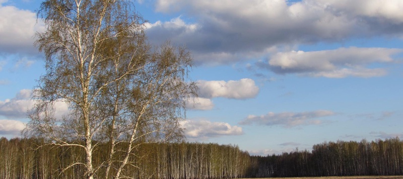 Таволжанская Sogra