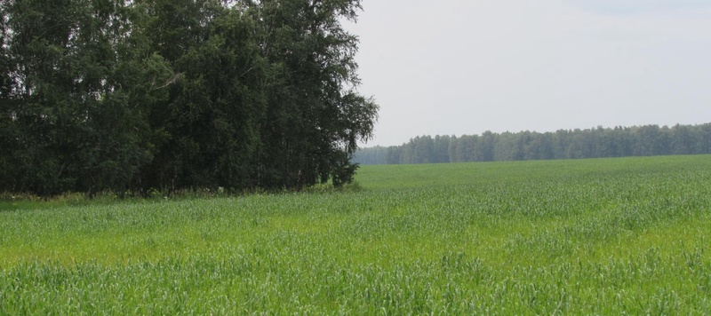 Таволжанская Sogra