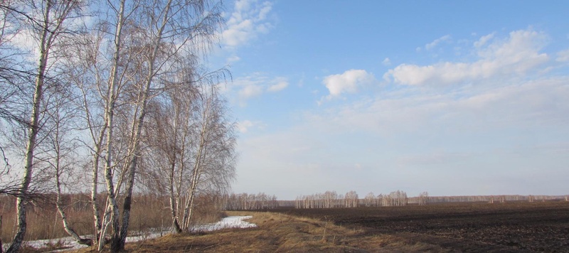 Таволжанская Sogra