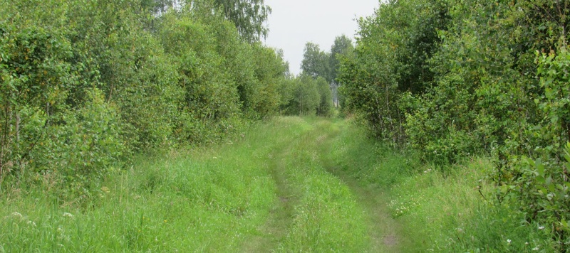 Таволжанская Sogra