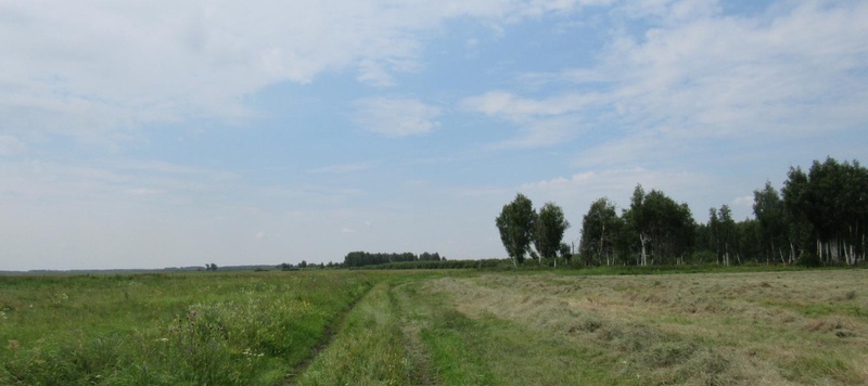 Таволжанская Sogra