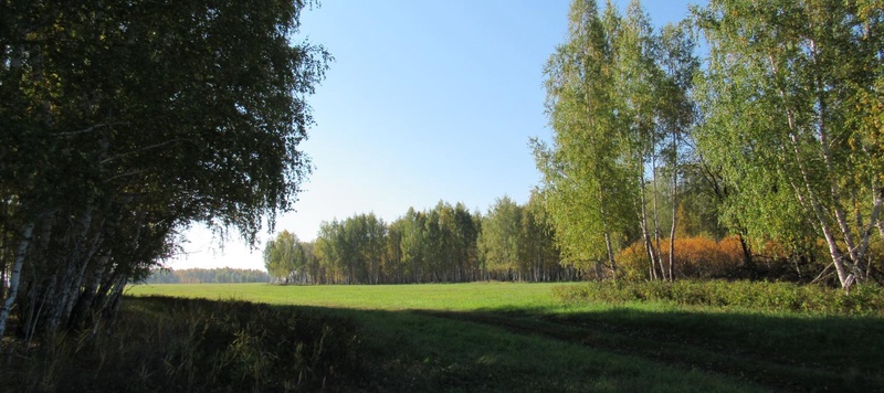 Таволжанская Sogra